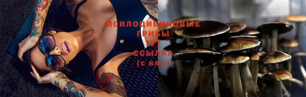 МДПВ Мурманск