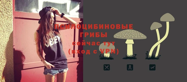 метамфетамин Липки